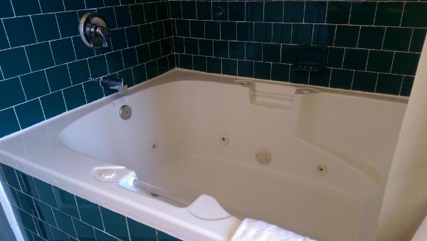 Holland Inn & Suites image 27